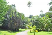 Královská botanická zahrada
