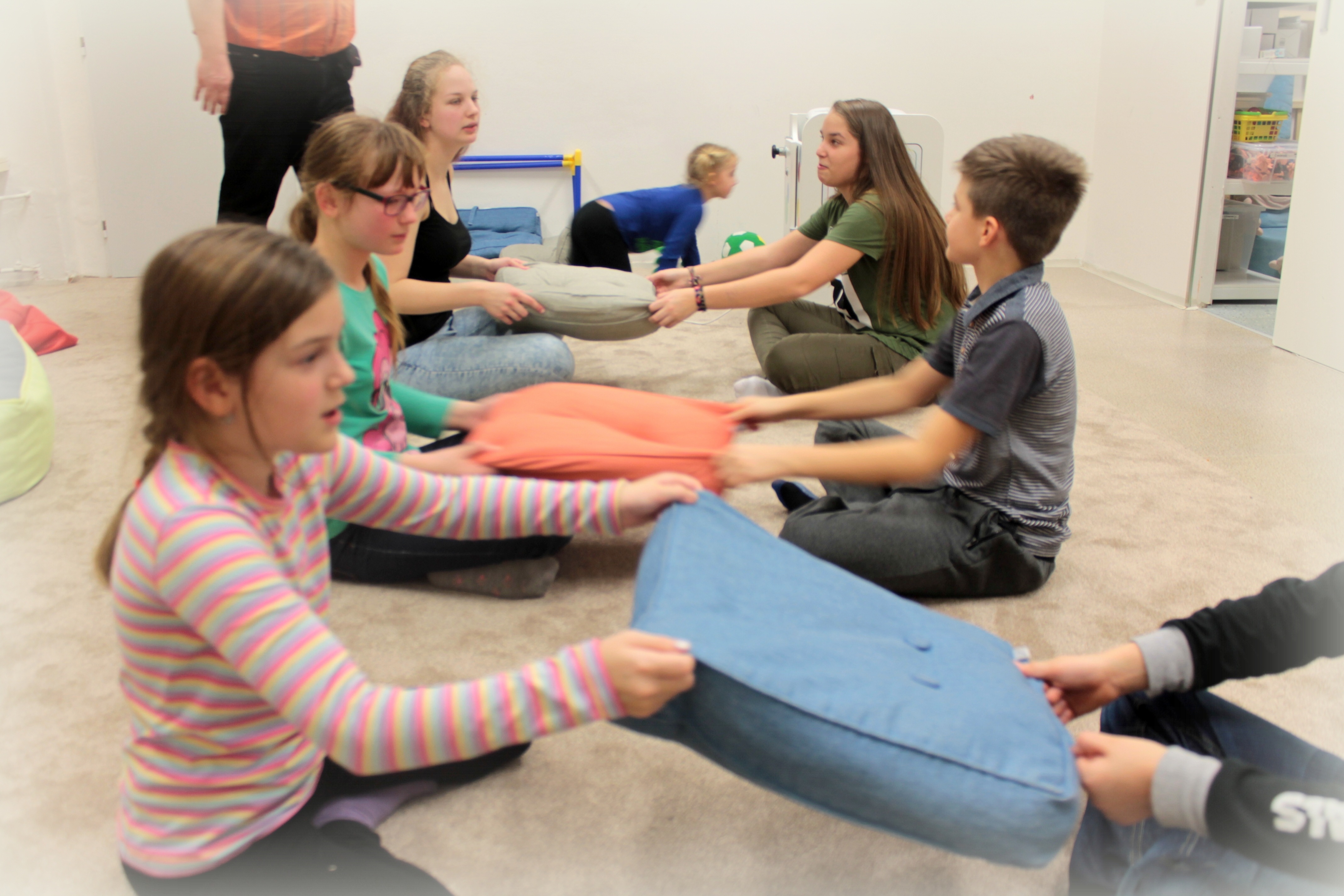 Co je cílem sourozenecké skupiny?